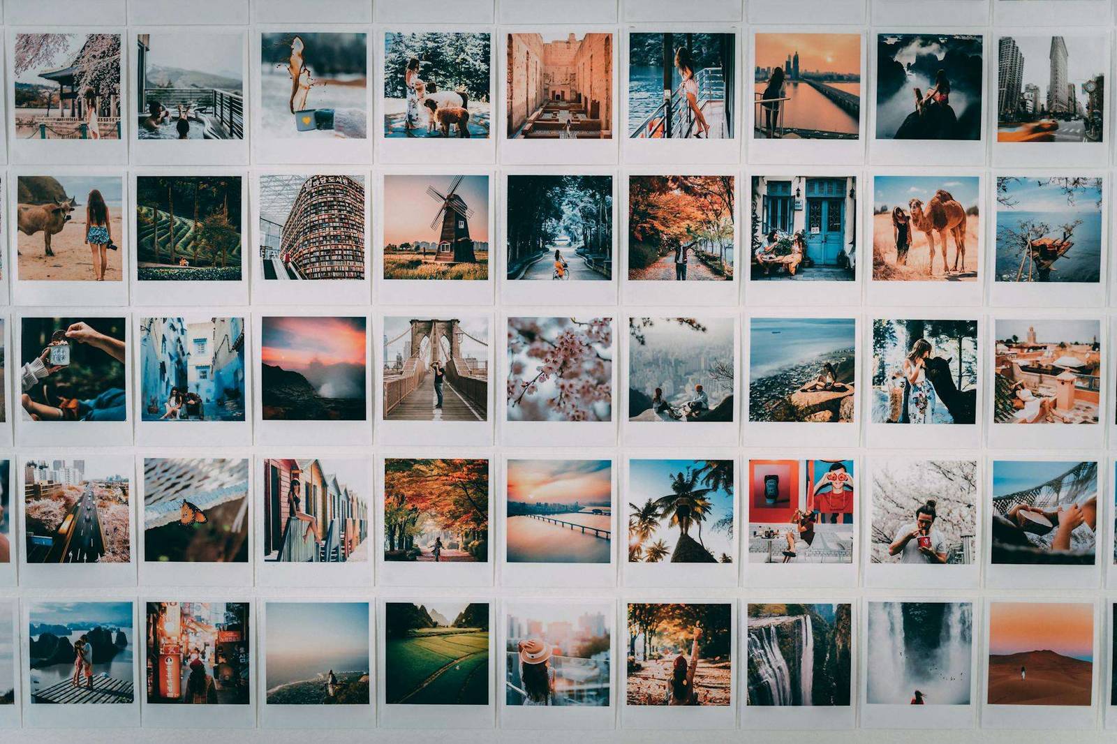 assorted photos on white wooden shelf